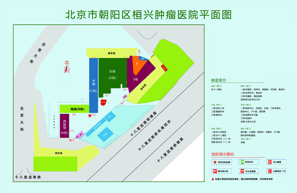 肥逼女人综合视频北京市朝阳区桓兴肿瘤医院平面图